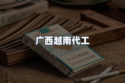 广西越南代工